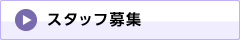 スタッフ募集